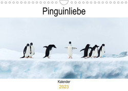 Pinguinliebe (Wandkalender 2023 DIN A4 quer) von Same