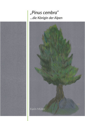 „Pinus cembra“ von Mueller,  Karin