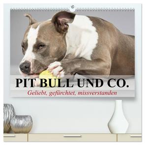 Pit Bull und Co. – Geliebt, gefürchtet, missverstanden (hochwertiger Premium Wandkalender 2024 DIN A2 quer), Kunstdruck in Hochglanz von Stanzer,  Elisabeth