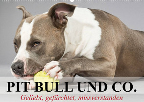 Pit Bull und Co. – Geliebt, gefürchtet, missverstanden (Wandkalender 2023 DIN A2 quer) von Stanzer,  Elisabeth