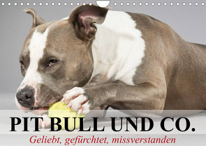 Pit Bull und Co. – Geliebt, gefürchtet, missverstanden (Wandkalender 2023 DIN A4 quer) von Stanzer,  Elisabeth