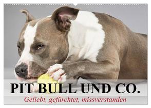 Pit Bull und Co. – Geliebt, gefürchtet, missverstanden (Wandkalender 2024 DIN A2 quer), CALVENDO Monatskalender von Stanzer,  Elisabeth