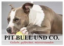 Pit Bull und Co. – Geliebt, gefürchtet, missverstanden (Wandkalender 2024 DIN A3 quer), CALVENDO Monatskalender von Stanzer,  Elisabeth