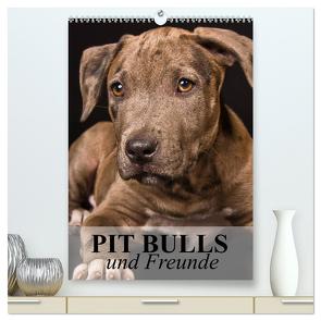 Pit Bulls und Freunde (hochwertiger Premium Wandkalender 2024 DIN A2 hoch), Kunstdruck in Hochglanz von Stanzer,  Elisabeth