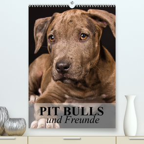 Pit Bulls und Freunde (Premium, hochwertiger DIN A2 Wandkalender 2023, Kunstdruck in Hochglanz) von Stanzer,  Elisabeth