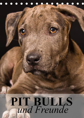 Pit Bulls und Freunde (Tischkalender 2023 DIN A5 hoch) von Stanzer,  Elisabeth