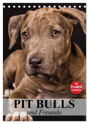Pit Bulls und Freunde (Tischkalender 2024 DIN A5 hoch), CALVENDO Monatskalender von Stanzer,  Elisabeth