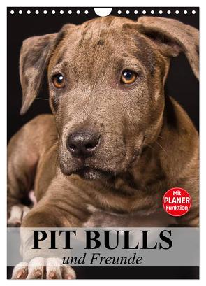 Pit Bulls und Freunde (Wandkalender 2024 DIN A4 hoch), CALVENDO Monatskalender von Stanzer,  Elisabeth