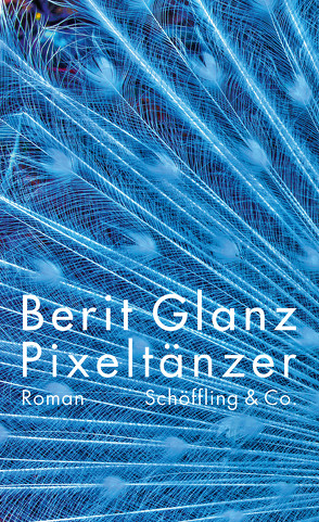 Pixeltänzer von Glanz,  Berit
