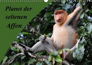 Planet der seltenen Affen (Wandkalender 2018 DIN A3 quer) von Edel,  Anja