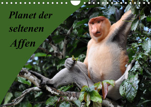 Planet der seltenen Affen (Wandkalender 2023 DIN A4 quer) von Edel,  Anja