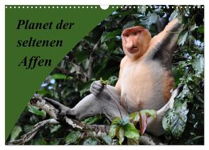 Planet der seltenen Affen (Wandkalender 2024 DIN A3 quer), CALVENDO Monatskalender von Edel,  Anja