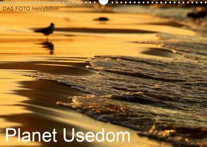 Planet Usedom (Wandkalender 2020 DIN A3 quer) von FOTO henryböhm,  DAS