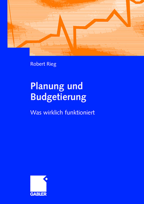 Planung und Budgetierung von Rieg,  Robert