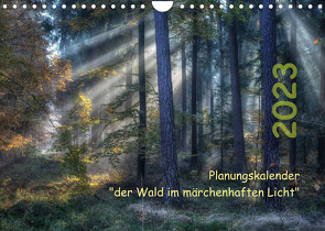 Planungskalender Märchenwald 2023 (Wandkalender 2023 DIN A4 quer) von Zitzler,  Hans