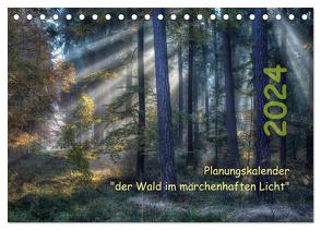 Planungskalender Märchenwald 2024 (Tischkalender 2024 DIN A5 quer), CALVENDO Monatskalender von Zitzler,  Hans