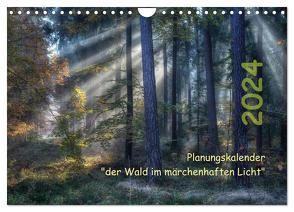 Planungskalender Märchenwald 2024 (Wandkalender 2024 DIN A4 quer), CALVENDO Monatskalender von Zitzler,  Hans