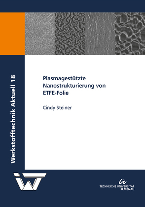 Plasmagestützte Nanostrukturierung von ETFE-Folie von Steiner,  Cindy