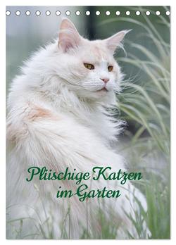 Plüschige Katzen im Garten (Tischkalender 2024 DIN A5 hoch), CALVENDO Monatskalender von von der Heyde,  Wiebke