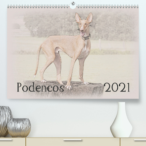 Podencos 2021 (Premium, hochwertiger DIN A2 Wandkalender 2021, Kunstdruck in Hochglanz) von Redecker,  Andrea