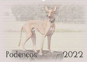Podencos 2022 (Wandkalender 2022 DIN A2 quer) von Redecker,  Andrea
