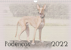 Podencos 2022 (Wandkalender 2022 DIN A4 quer) von Redecker,  Andrea
