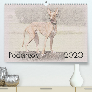 Podencos 2023 (Premium, hochwertiger DIN A2 Wandkalender 2023, Kunstdruck in Hochglanz) von Redecker,  Andrea
