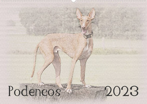 Podencos 2023 (Wandkalender 2023 DIN A2 quer) von Redecker,  Andrea