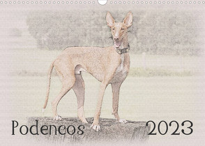 Podencos 2023 (Wandkalender 2023 DIN A3 quer) von Redecker,  Andrea