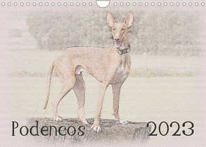 Podencos 2023 (Wandkalender 2023 DIN A4 quer) von Redecker,  Andrea