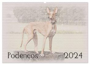 Podencos 2024 (Wandkalender 2024 DIN A2 quer), CALVENDO Monatskalender von Redecker,  Andrea