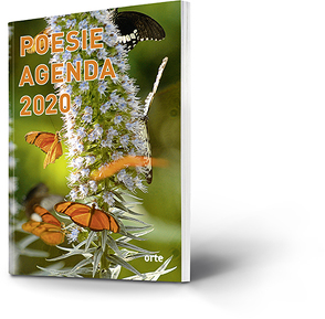 Poesie Agenda 2020 von Fäh,  Jolanda, Mathies,  Susanne