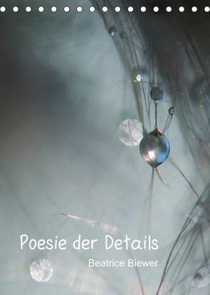 Poesie der Details (Tischkalender 2023 DIN A5 hoch) von Biewer,  Beatrice