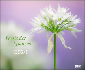 Poesie der Pflanzen 2020 – DUMONT Garten-Kalender – Querformat 52 x 42,5 cm – Spiralbindung von DUMONT Kalenderverlag, Nature Picture Library