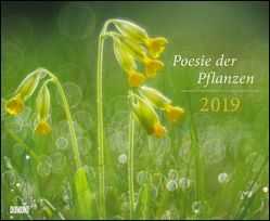 Poesie der Pflanzen 2019 – DUMONT Garten-Kalender – Querformat 52 x 42,5 cm – Spiralbindung von DUMONT Kalenderverlag, Nature Picture Library