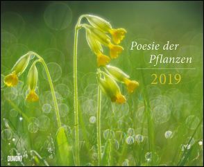 Poesie der Pflanzen 2019 – DUMONT Garten-Kalender – Querformat 52 x 42,5 cm – Spiralbindung von DUMONT Kalenderverlag, Nature Picture Library