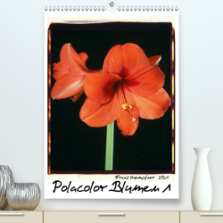 Polacolor Blumen 1 (Premium, hochwertiger DIN A2 Wandkalender 2021, Kunstdruck in Hochglanz) von Huempfner,  Franz
