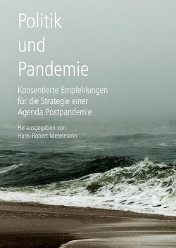 Politik und Pandemie von Metelmann,  Hans-Robert