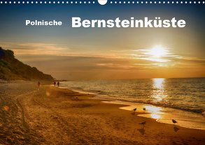Polnische Bernsteinküste (Wandkalender 2020 DIN A3 quer) von Eckerlin,  Claus