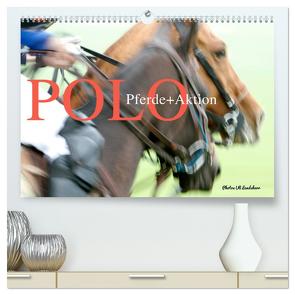 Polo Pferde + Aktion 2024 (hochwertiger Premium Wandkalender 2024 DIN A2 quer), Kunstdruck in Hochglanz von Landsherr,  Uli