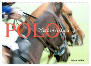 Polo Pferde + Aktion 2024 (Wandkalender 2024 DIN A2 quer), CALVENDO Monatskalender von Landsherr,  Uli