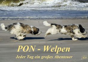 PON-Welpen – jeder Tag ein großes Abenteuer (Posterbuch DIN A3 quer) von Roder,  Peter
