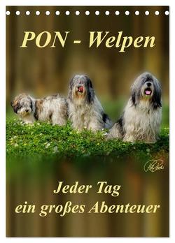 PON-Welpen – jeder Tag ein großes Abenteuer / Planer (Tischkalender 2024 DIN A5 hoch), CALVENDO Monatskalender von Roder,  Peter