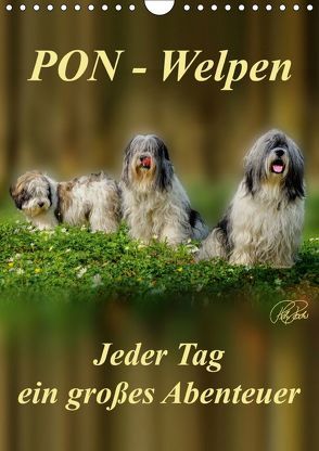 PON-Welpen – jeder Tag ein großes Abenteuer / Planer (Wandkalender 2019 DIN A4 hoch) von Roder,  Peter