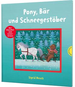 Pony, Bär und Schneegestöber von Heuck,  Sigrid