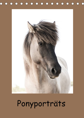 Ponyporträts (Tischkalender 2023 DIN A5 hoch) von Beuck,  Angelika