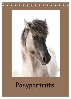 Ponyporträts (Tischkalender 2024 DIN A5 hoch), CALVENDO Monatskalender von Beuck,  Angelika