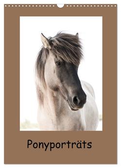 Ponyporträts (Wandkalender 2024 DIN A3 hoch), CALVENDO Monatskalender von Beuck,  Angelika