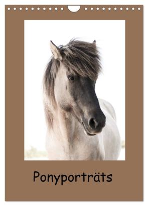 Ponyporträts (Wandkalender 2024 DIN A4 hoch), CALVENDO Monatskalender von Beuck,  Angelika