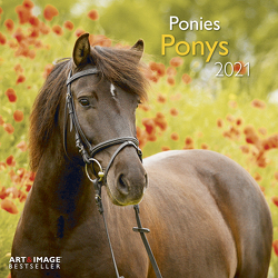 Ponys 2021 – Wand-Kalender – Broschüren-Kalender – A&I – 30×30 – 30×60 geöffnet – Pferde
